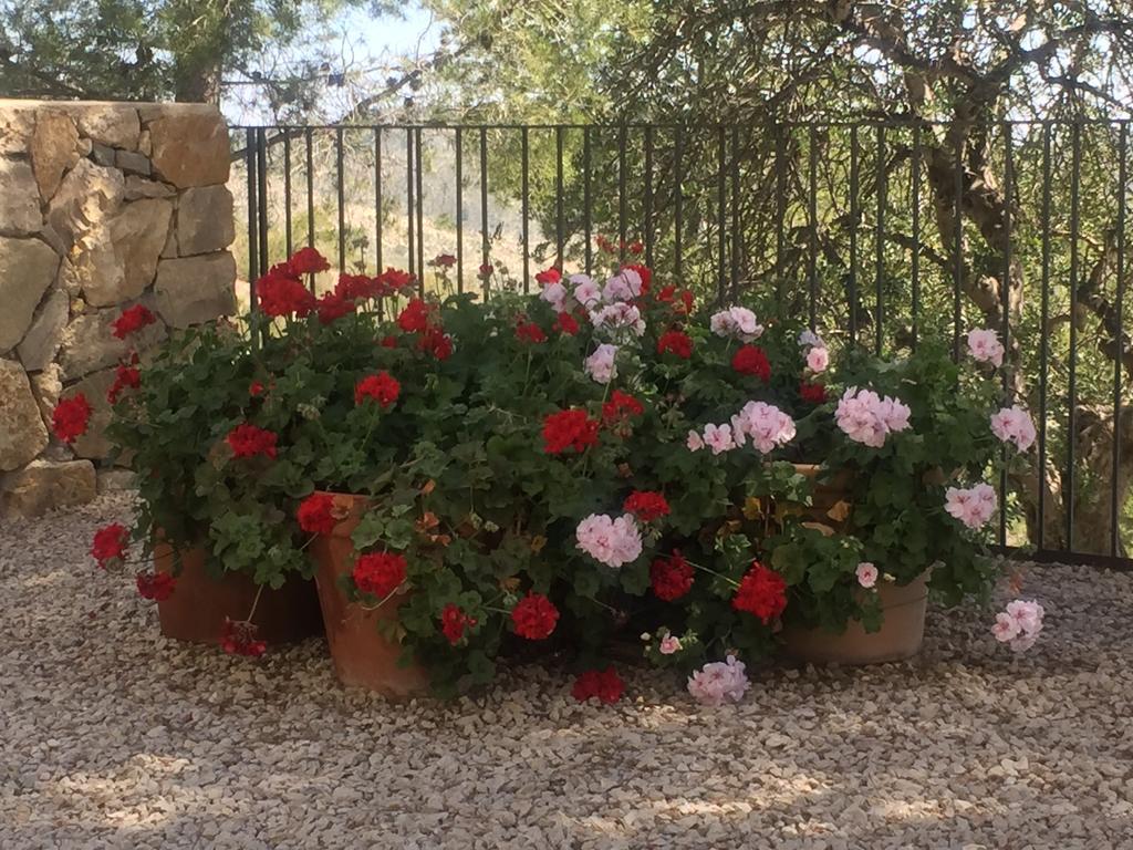 Finca El Otero Aigues Eksteriør bilde