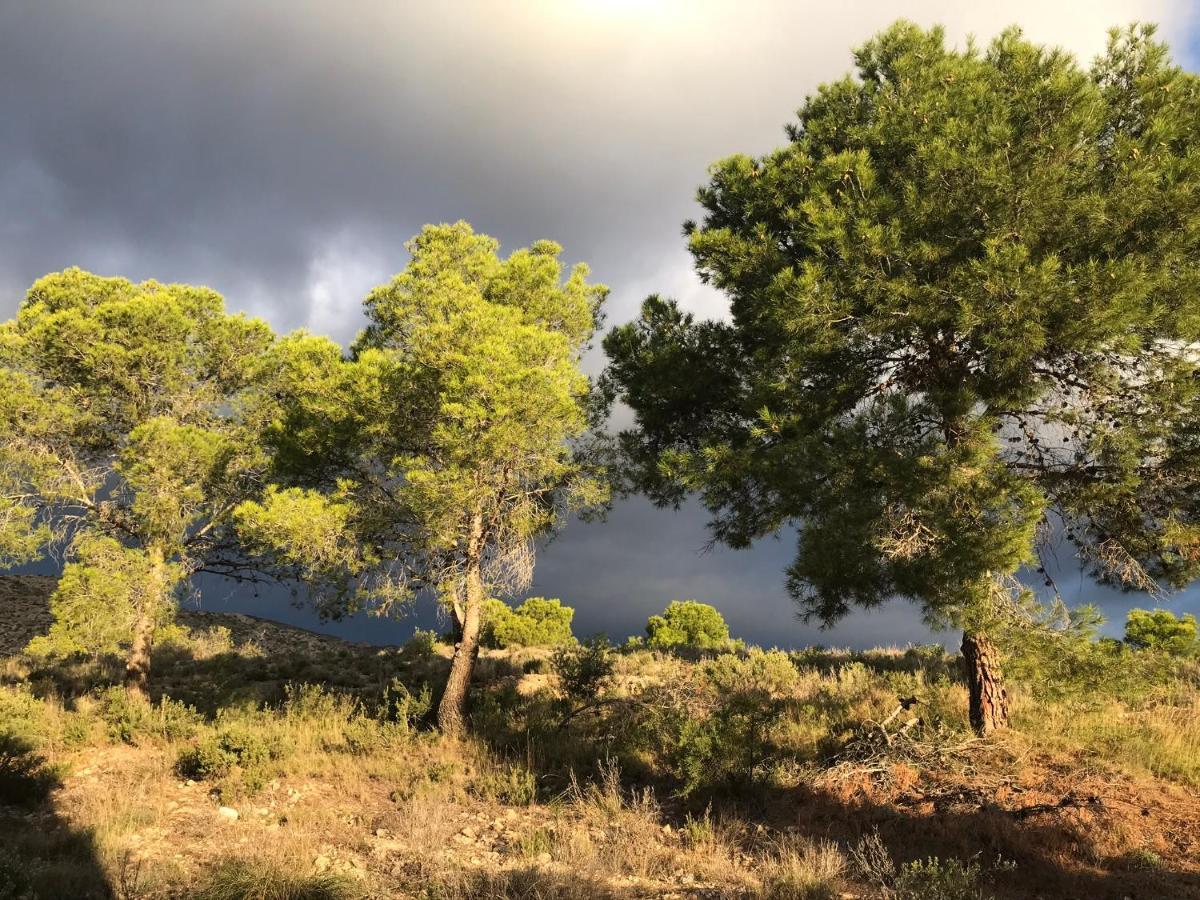 Finca El Otero Aigues Eksteriør bilde